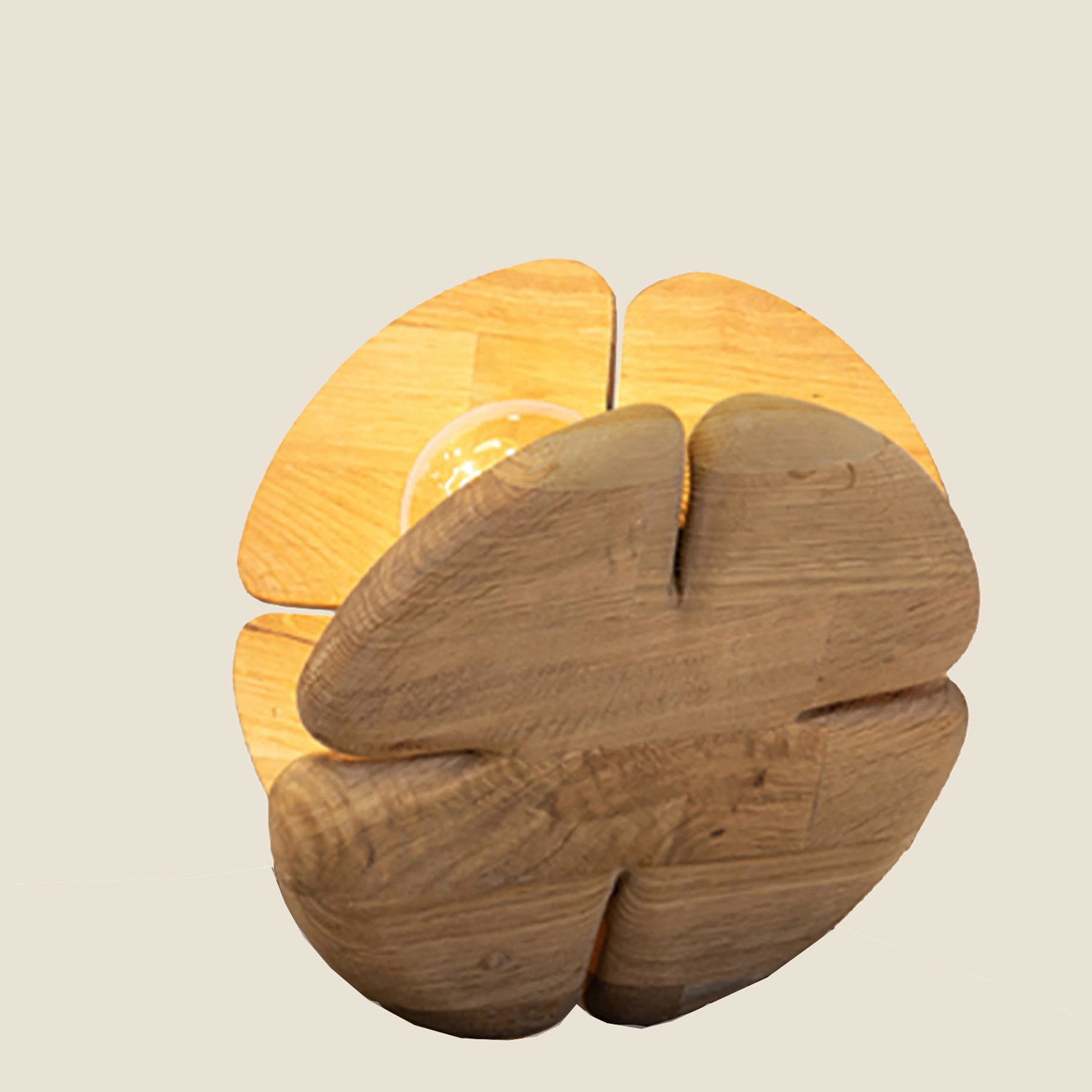 3 lampa srecko 01 copy