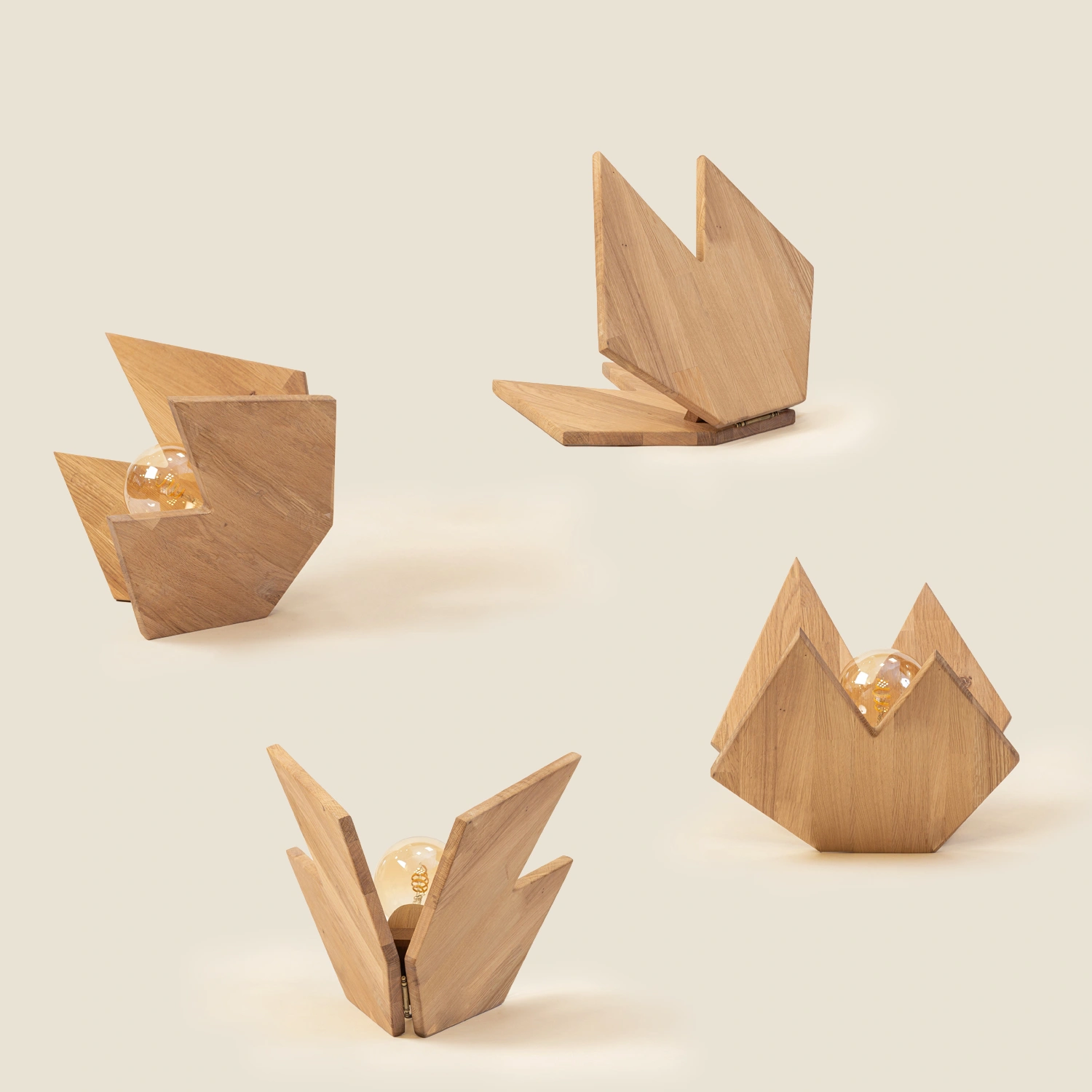 5 LAMPA ZAGRLJAJ copy