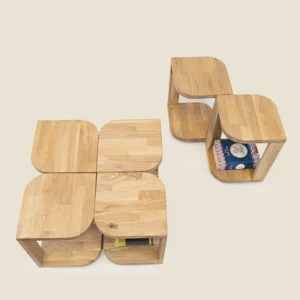 12 slajd klub sto mauricijus 01 copy